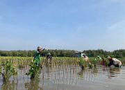 LindungiHutan Ajak Publik Rayakan Hari Menanam Pohon Indonesia dengan Aksi Nyata di Tengah Krisis Iklim