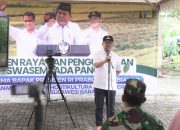 Sulbar Surplus Hampir 70 Ribu Ton Beras, Gubernur SDK Apresiasi Program Pangan Nasional