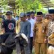 Enam Bulan Berjalan, Bantuan Kambing Pemprov Sulbar Berbuah Ratusan Kelahiran dan Kebuntingan