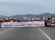 Ribuan Massa Long March Suarakan Tuntutan Pembentukan Provinsi Luwu Raya