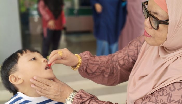 Pemprov Sulbar Ajak Orang Tua Manfaatkan Bulan Vitamin A di Posyandu
