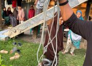 Respon Cepat Kapolsek Tommo di Lokasi Penemuan Mayat Gantung Diri