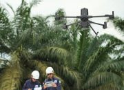 Teknologi LiDAR Zenmuse L3: Pemetaan Presisi di Area Perkebunan Berkanopi Lebat