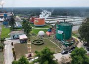 ROA PalmCo Tembus 7,9 Persen, Sinyal Penguatan Kinerja Aset Holding Perkebunan Nusantara