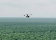 Teknologi Drone Thermal untuk Mencegah Kebakaran di Perkebunan Luas