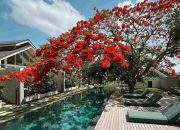 ASAI Village Jimbaran: Oase Wellness di Bali