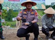 Dukung Program Pemerintah Menuju Swasembada Pangan di Wilayah, Polda Sulbar Gelar Aksi Tanam Jagung