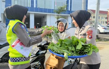 Panen Perdana Pekarangan Pangan Lestari Ditlantas Polda Sulbar, 100 Paket Sayur-Mayur Dibagikan Gratis ke Pengendara Tertib