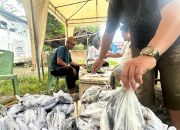 Pemprov Sulbar Gelar GPM Serentak di Polman dan Mamuju, Ringankan Beban Ekonomi Masyarakat