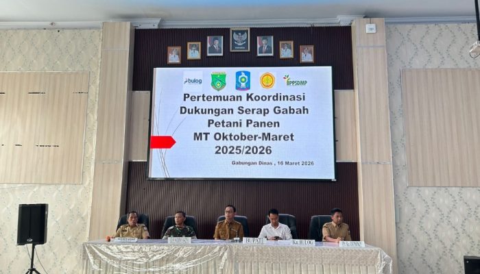 Bupati Soppeng Kawal Harga Gabah Rp6.500, Pastikan Petani Sejahtera Saat Panen Raya