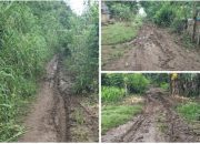 Terisolasi di Pinggir Sungai Walennae, Warga Pammera Keluhkan Jalan Rusak dan Akses Transportasi Minim