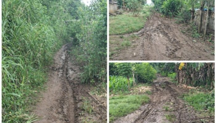 Terisolasi di Pinggir Sungai Walennae, Warga Pammera Keluhkan Jalan Rusak dan Akses Transportasi Minim