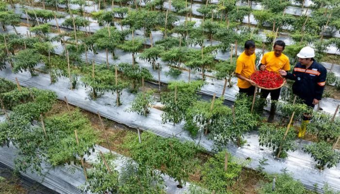 Ketika Mantan PETI Bersama-sama Membangun Pongkor