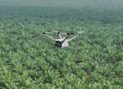 Pemantauan Keamanan Hutan dan Deteksi Kebakaran Lahan dengan DJI Dock 3