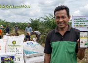 Di Tengah Ketidakpastian Global, SawitPRO Hadir Mempermudah Petani Mendapatkan Pupuk Sawit dan Benih Unggul