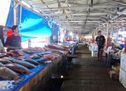 Kunjungan Kepala DKP Sulbar ke PP Kasiwa dan KM Malasuji: Dorong Pembenahan Fasilitas dan Penguatan Pengawasan Laut