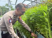 Panen Raya di Pekarangan Pangan Lestari Ditlantas, Hasilnya Dibagikan ke Pengendara Tertib Secara Gratis