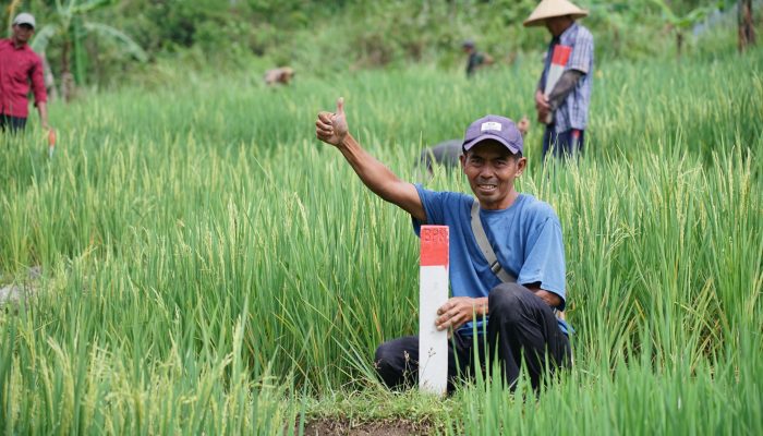 Simak Tips untuk Menjaga Tanah agar Tidak Diserobot Orang Lain