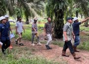 Holding Perkebunan Nusantara Perkuat Pengawasan Operasional, PTPN IV Regional VII Tingkatkan Produktivitas Kebun