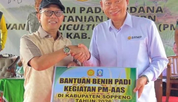 Tanam Padi Perdana PM-AAS, Pemkab Soppeng Perkuat Transformasi Pertanian Modern