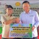 Tanam Padi Perdana PM-AAS, Pemkab Soppeng Perkuat Transformasi Pertanian Modern
