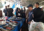Wujudkan Ikan Sehat dan Berkualitas, Pemprov Sulbar Edukasi Pedagang PPI Binanga Lawan Zat Kimia Berbahaya