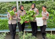 Panen Pekarangan Pangan Lestari, Ditlantas Polda Sulbar Kembali Berbagi Hasil Bagi Pengendara Tertib