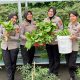 Panen Pekarangan Pangan Lestari, Ditlantas Polda Sulbar Kembali Berbagi Hasil Bagi Pengendara Tertib