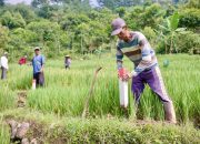 Pasang Patok, Cara Sederhana Cegah Sengketa Tanah dengan Tetangga
