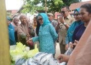 Melalui GEMARIKAN, TP PKK Sulbar Perkuat Edukasi Gizi dan Pencegahan Stunting