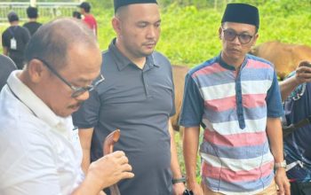 Karo Pemkesra Sulbar Dampingi Gubernur Laksanakan Penyembelihan Hewan Kurban di Halaman Rujab