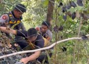 Antisipasi Kebakaran Susulan, Gabungan Polresta Mamuju, Dalkarhut dan BPBD Sulbar Patroli ke Lokasi Karhutla
