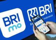 Pengguna BRImo Tembus 47,8 Juta User, Andalan Kebutuhan Finansial Masyarakat
