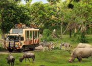 Taman Safari Indonesia Siap Dukung Transformasi Kebun Binatang Bandung sebagai Lembaga Konservasi Modern