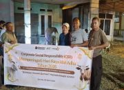 Holding Perkebunan Nusantara Tebar Manfaat Idul Adha, KPBN Unit Dumai Salurkan Hewan Kurban untuk Masyarakat