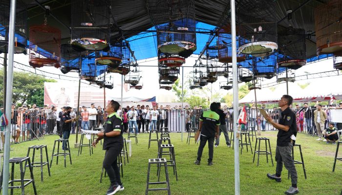 Ratusan Peserta Padati Adu Suara Merdu Burung, Kicau Mania Semarakkan HUT Bhayangkara ke-80 di Polda Sulbar