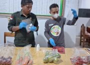 Dinas Pangan Sulbar Intensifkan Pengawasan dan Uji Sampel PSAT di Polman dan Mamasa
