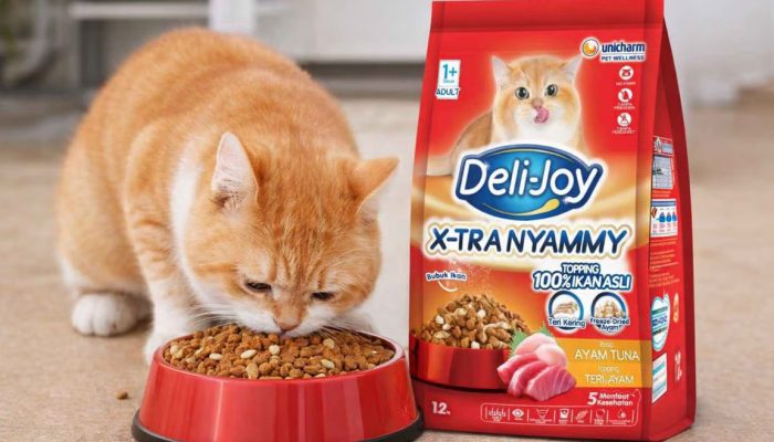 Jangan Asal Pilih! Ini Rekomendasi Dry Food Kucing Bernutrisi Tinggi