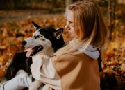 Sering Dianggap Mirip Serigala, Ini Fakta Menarik tentang Anjing Husky