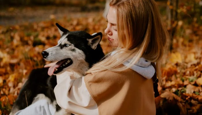 Sering Dianggap Mirip Serigala, Ini Fakta Menarik tentang Anjing Husky