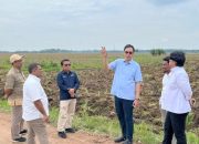 Dukung Program Mandiri Energi Nasional, Holding Perkebunan Nusantara Siapkan 10 Ribu Hektare Lahan Singkong di Lampung