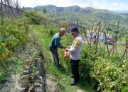 Polri Hadir Menjaga Ketahanan Pangan, Polda Sulbar Perkuat Pendampingan Petani Demi Wujudkan Swasembada Pangan Nasional