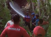 Damkar Sulbar Berhasil Padamkan Kebakaran Lahan di Desa Bambu Bersama Tim Gabungan