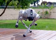 Robot Unitree Go2 untuk Edutainment dan Interaksi Publik
