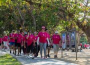 Jalan Sehat Bali Pink Ribbon Kembali Digelar 17 Oktober 2026