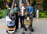 Main Bareng Anabul Di Grand Galaxy Park yang Cat Friendly