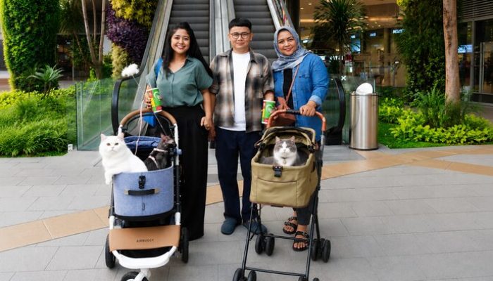 Main Bareng Anabul Di Grand Galaxy Park yang Cat Friendly