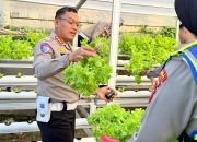 Dari Kebun ke Jalan, Ditlantas Polda Sulbar Wujudkan Ketahanan Pangan Lewat Aksi Berbagi untuk Masyarakat