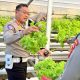 Dari Kebun ke Jalan, Ditlantas Polda Sulbar Wujudkan Ketahanan Pangan Lewat Aksi Berbagi untuk Masyarakat