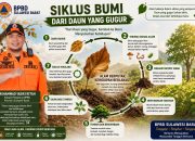 Siklus Bumi dari Daun yang Gugur, BPBD Sulbar Ajak Masyarakat Jaga Alam dan Cegah Karhutla